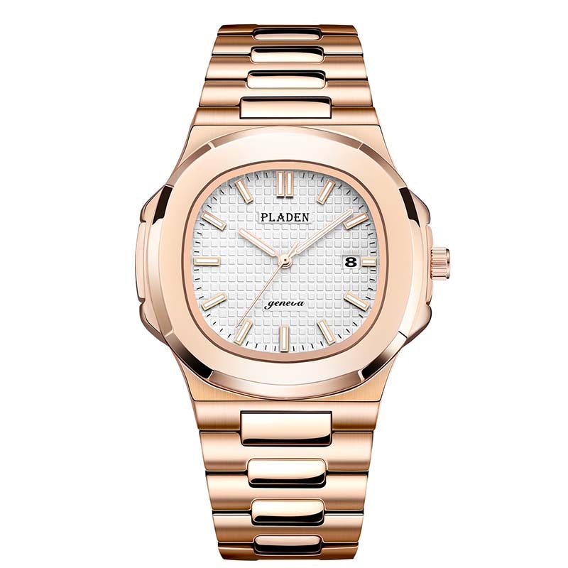 Pladen Stainless Steel Watch